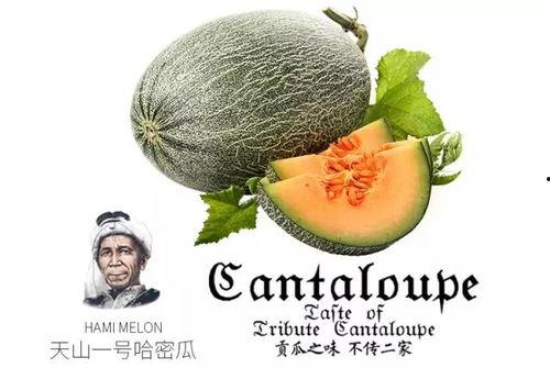 吃瓜群众选什么好吃的,吃瓜群众必尝的美食清单