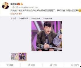 胖翻译变成吃瓜群众,一场身份转变的趣味之旅