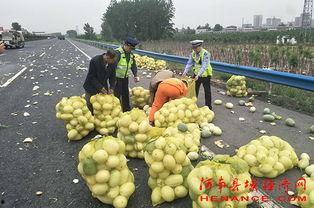 弋阳吃瓜群众案件最新,揭秘网络谣言背后的真相