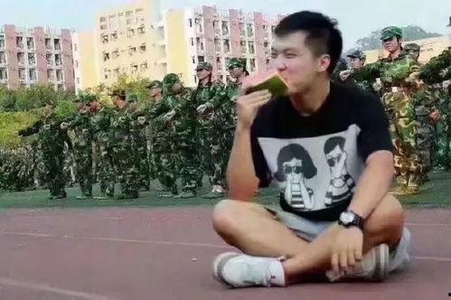 吃瓜群众赵泰隆,吃瓜群众的独特视角与趣味解读