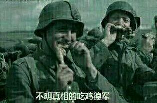 背景图 吃瓜群众图,揭秘网络围观背后的社会现象