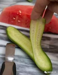 吃瓜群众黄瓜微信,揭秘网络红人的瓜田生活