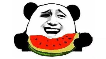 吃瓜群众球星都有谁啊,盘点娱乐圈的“吃瓜群众”球星