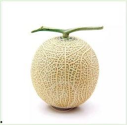 吃瓜群众玉盘,揭秘娱乐圈的“吃瓜”风云