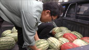 吃瓜群众最幸福的话语,吃瓜群众最幸福的瞬间