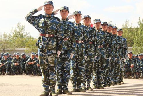 军训教官吃瓜群众视频,一场意外的“瓜界”风云