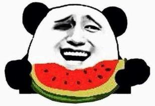 帅气吃瓜群众视频大全,视频大全里的欢乐时光