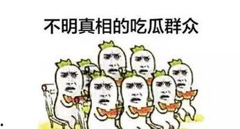单纯的吃瓜群众,吃瓜群众眼中的明星生活