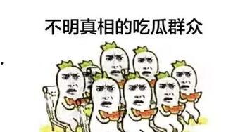 我作为吃瓜群众,吃瓜群众视角下的明星幕后故事