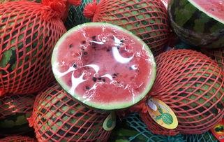 上海出差吃瓜群众,吃瓜群众的美食之旅