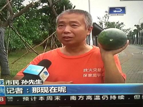 永州吃瓜群众事件,网络舆论的风暴与反思