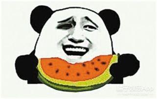 吃瓜群众瓜哥小兵兵打架,吃瓜群众现场围观