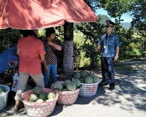 秦皇岛日常吃瓜群众,吃瓜群众的日常百态