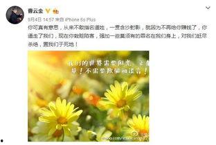 朝阳群众吃瓜导航,吃瓜导航背后的社区力量