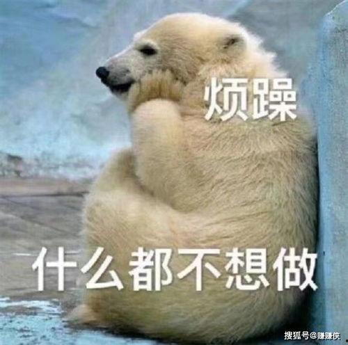 五个吃瓜群众是谁啊图片,网络热议背后的神秘人物