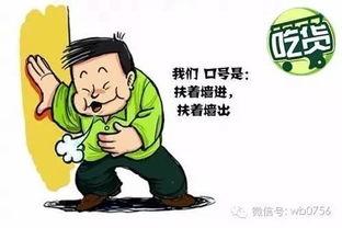 群众吃瓜比例多少合适,把握平衡的艺术