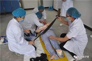 舒城吃瓜群众事件最新消息,最新进展揭秘，真相逐渐浮出水面