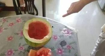 活力满满吃瓜群众