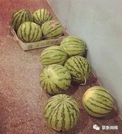 吃瓜群众走一波,揭秘娱乐圈幕后故事