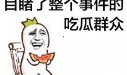 吃瓜群众系列词语,揭秘网络热议背后的众生相