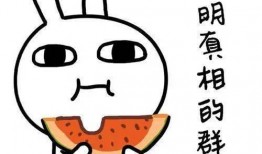 吃瓜群众昵称大全搞笑女,盘点那些搞笑女生的“吃瓜群众”昵称