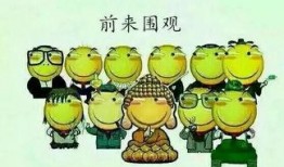 吃瓜群众第6号,揭秘娱乐圈最新热点事件