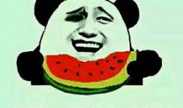 吃瓜群众关心问题,吃瓜群众最关心的问题大揭秘