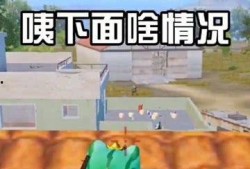 鸡也喜欢吃瓜群众