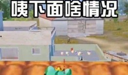 鸡也喜欢吃瓜群众