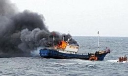 浙岱渔船吃瓜群众,吃瓜群众的海洋生活画卷