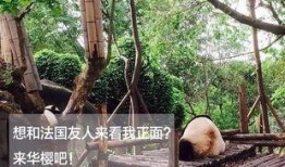 吃瓜群众的陪葬者是谁啊,吃瓜群众的陪葬者之谜