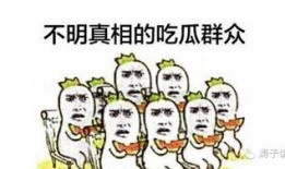 群众的吃瓜故事简介内容,揭秘民间趣味故事背后的真实人生