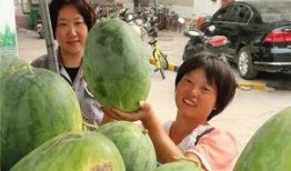 小区吃瓜群众收获,揭秘邻里趣事，共享生活点滴