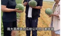 吃瓜群众最快的视频,揭秘娱乐圈幕后真相