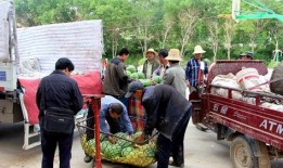 吴川吃瓜群众,揭秘当地独特民俗文化现象