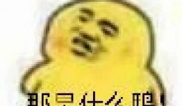 吃瓜群众表情包没有了吗,消失的潮流符号