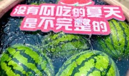 吃瓜群众6-6,揭秘网络热议背后的真相