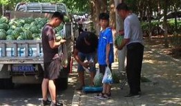 桑植吃瓜群众,揭秘当地独特饮食文化