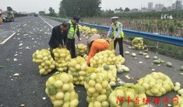 弋阳吃瓜群众案件最新,揭秘网络谣言背后的真相