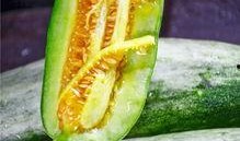 吃瓜群众有哪些网红,盘点当下热门网红风云录