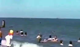 吃瓜群众是什么飞机,揭秘神秘飞机背后的故事