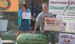 如何表扬吃瓜群众的人员,如何巧妙表扬热情吃瓜群众