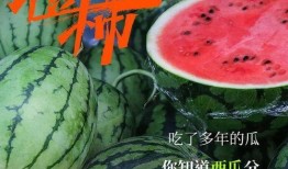 一只神秘的吃瓜群众,娱乐圈背后的惊人真相