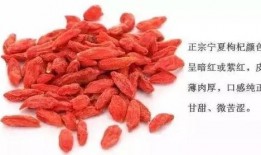 三亩地种枸杞群众吃瓜,群众吃上“瓜果甜”