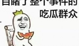 吃瓜群众关心问题,吃瓜群众最关心的问题大揭秘
