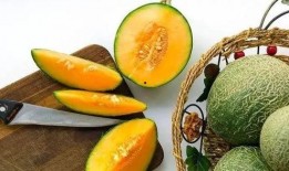 吃瓜群众的藏宝盒的作品,探寻神秘作品的奇幻之旅