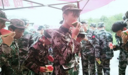 军训教官吃瓜群众视频,一场意外的“瓜界”风云