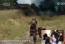 斗鱼龙之队吃瓜群众