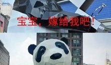 熊猫吃瓜群众现场,揭秘网红现象背后的社会现象