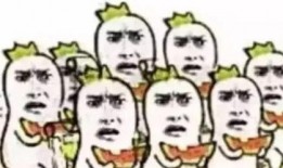 海阳吃瓜群众事件始末是什么,一场网络舆论的风暴与反思